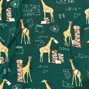 Posh Peanut Green Giraffe Pajama Set Excellent barely worn condition. Size 12.